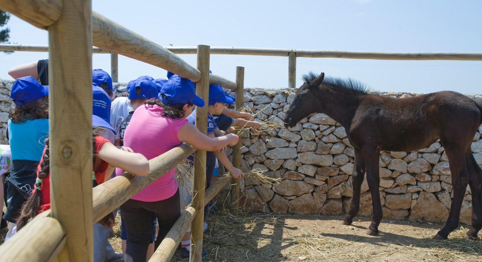 Azienda Agrituristica Scalelle Otranto Esterno foto